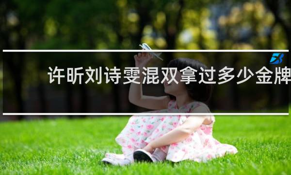 许昕刘诗雯混双拿过多少金牌