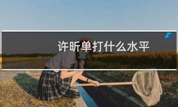 许昕单打什么水平
