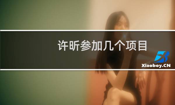 许昕参加几个项目