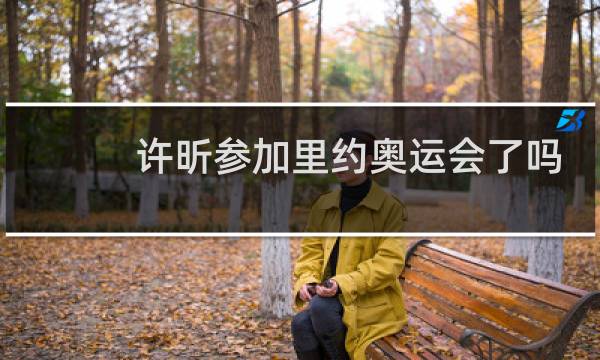 许昕参加里约奥运会了吗