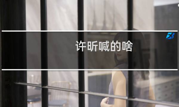 许昕喊的啥