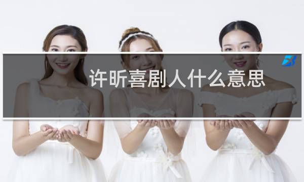 许昕喜剧人什么意思