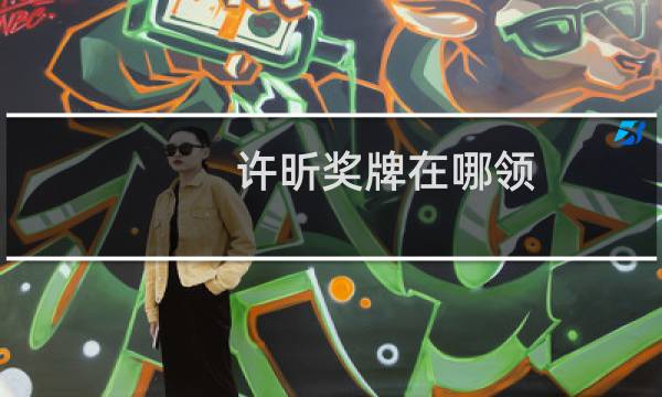 许昕奖牌在哪领