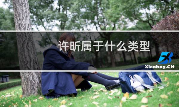 许昕属于什么类型