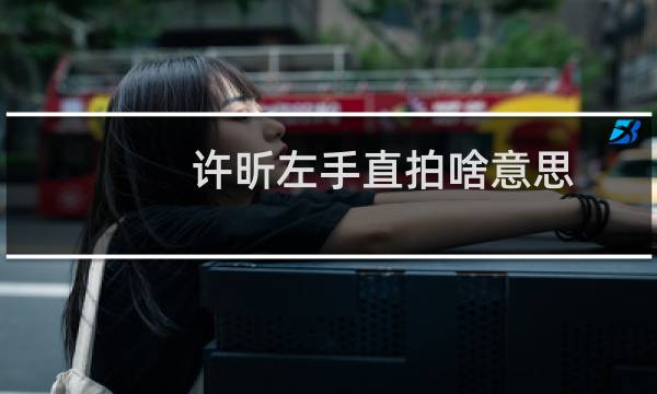 许昕左手直拍啥意思