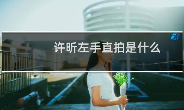 许昕左手直拍是什么