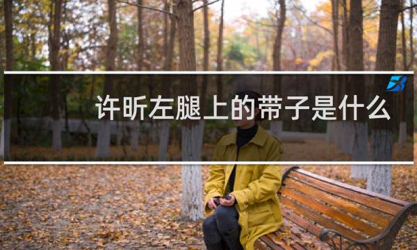 许昕左腿上的带子是什么