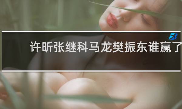 许昕张继科马龙樊振东谁赢了