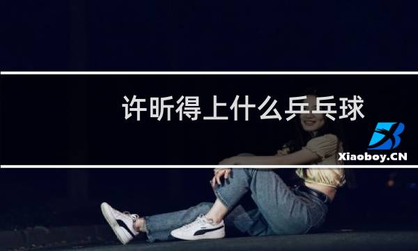 许昕得上什么乒乓球
