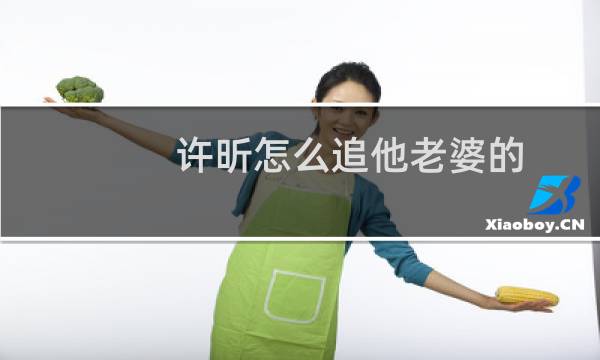 许昕怎么追他老婆的