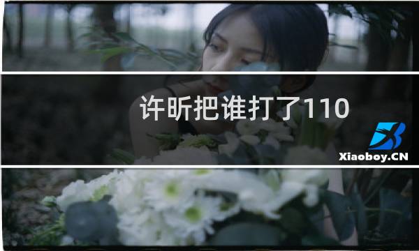 许昕把谁打了110