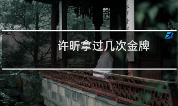 许昕拿过几次金牌