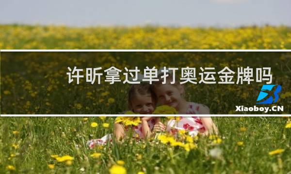 许昕拿过单打奥运金牌吗