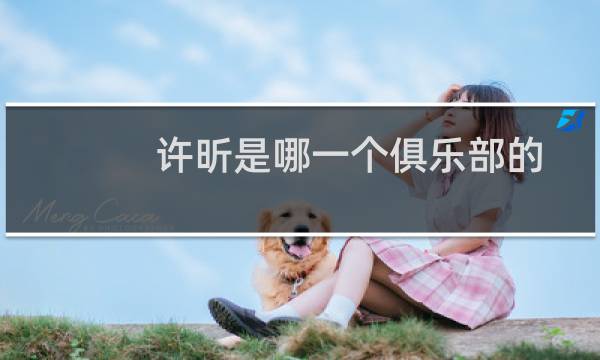 许昕是哪一个俱乐部的