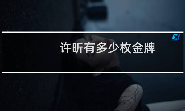 许昕有多少枚金牌