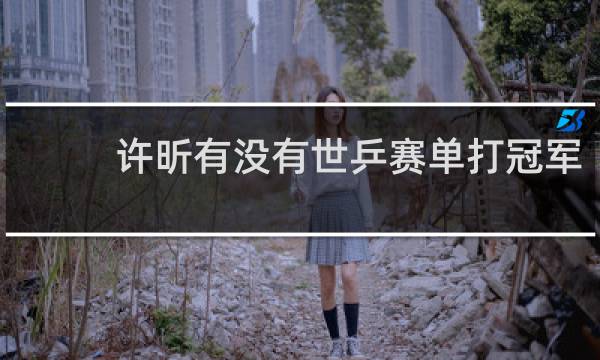 许昕有没有世乒赛单打冠军