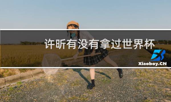 许昕有没有拿过世界杯