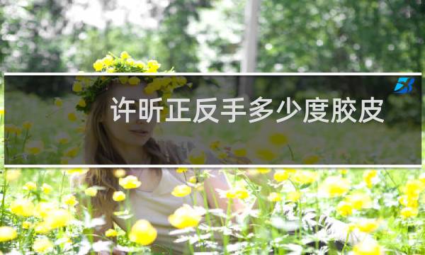 许昕正反手多少度胶皮
