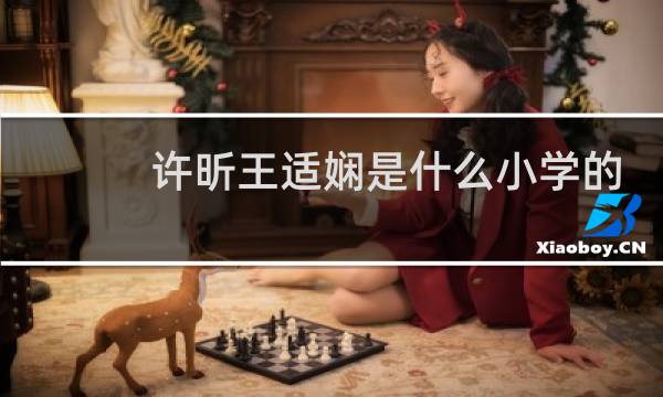 许昕王适娴是什么小学的