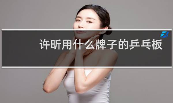 许昕用什么牌子的乒乓板