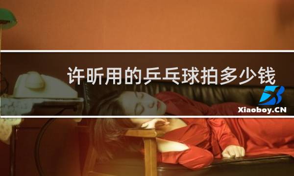 许昕用的乒乓球拍多少钱
