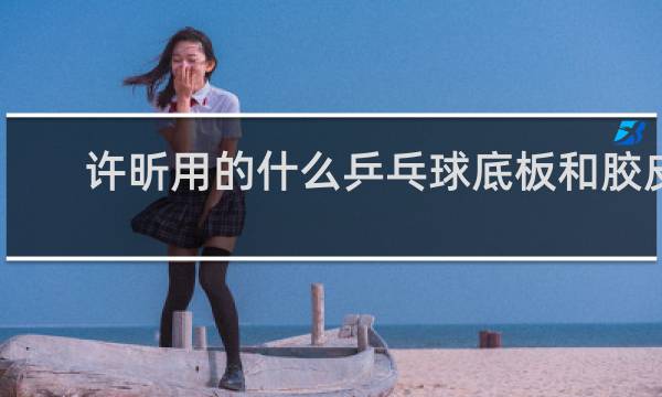 许昕用的什么乒乓球底板和胶皮