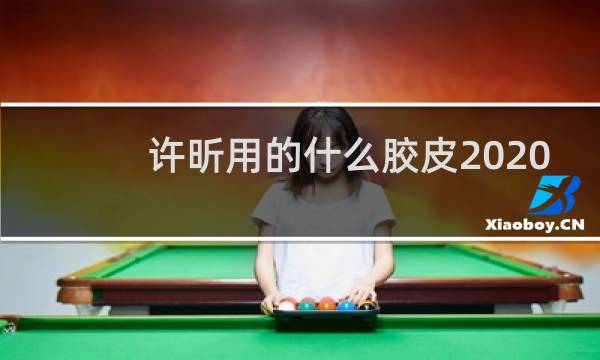 许昕用的什么胶皮2020