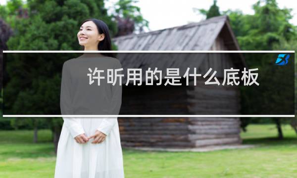 许昕用的是什么底板