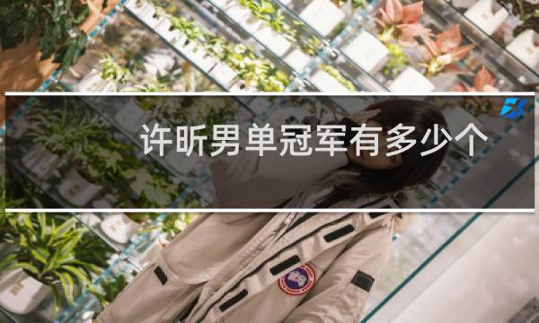 许昕男单冠军有多少个