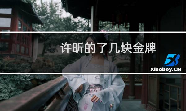 许昕的了几块金牌