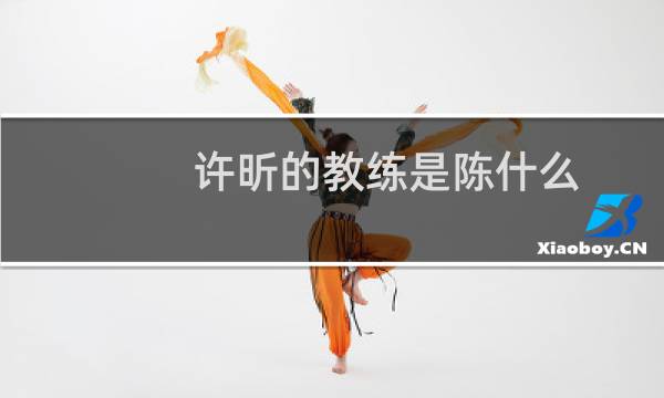 许昕的教练是陈什么