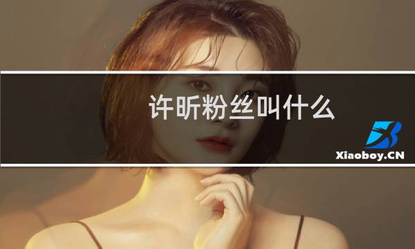 许昕粉丝叫什么