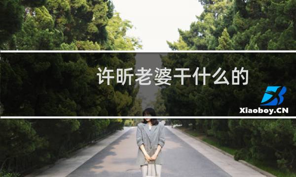 许昕老婆干什么的