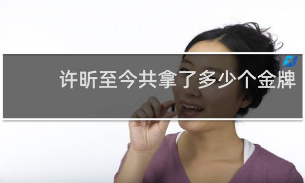 许昕至今共拿了多少个金牌