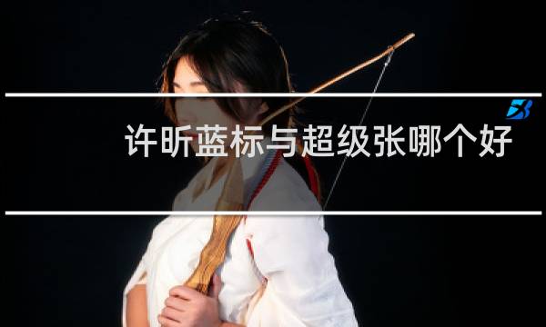 许昕蓝标与超级张哪个好