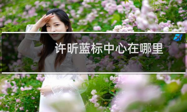 许昕蓝标中心在哪里