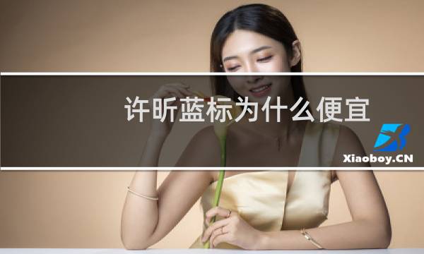 许昕蓝标为什么便宜