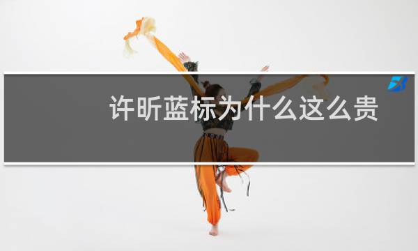 许昕蓝标为什么这么贵