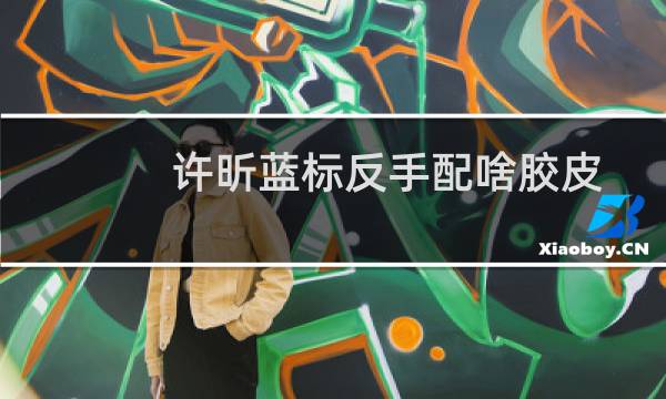 许昕蓝标反手配啥胶皮