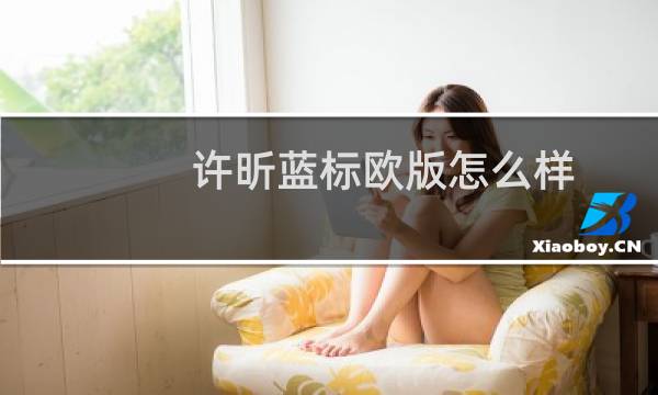 许昕蓝标欧版怎么样