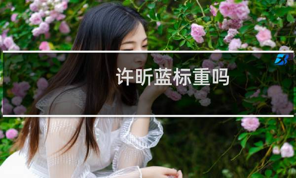 许昕蓝标重吗