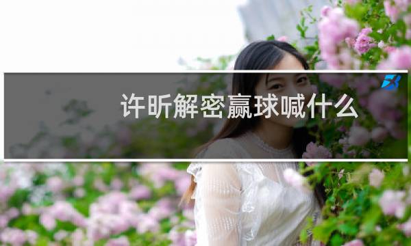 许昕解密赢球喊什么