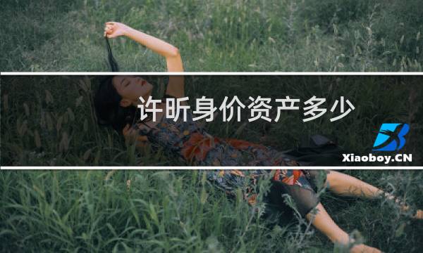 许昕身价资产多少