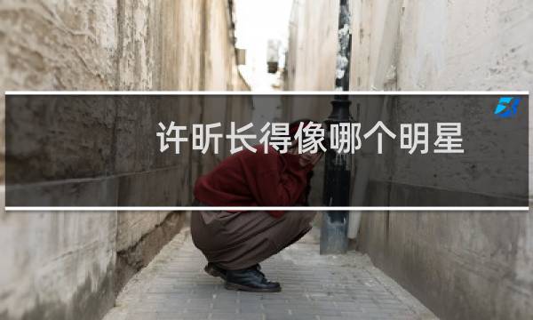 许昕长得像哪个明星