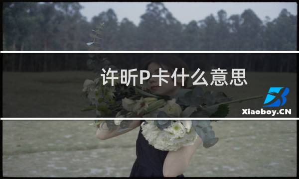 许昕P卡什么意思