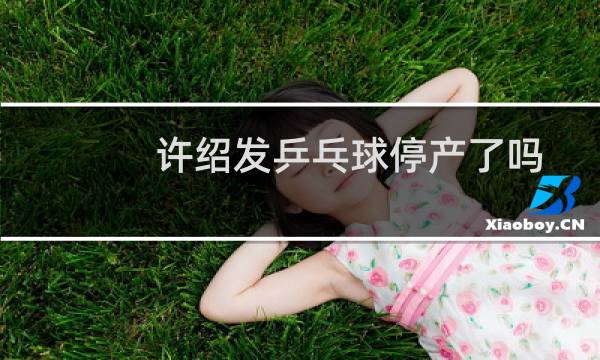 许绍发乒乓球停产了吗