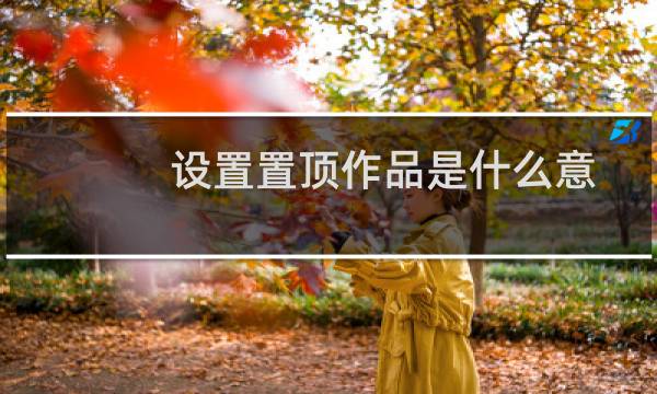 设置置顶作品是什么意思（什么叫置顶作品）