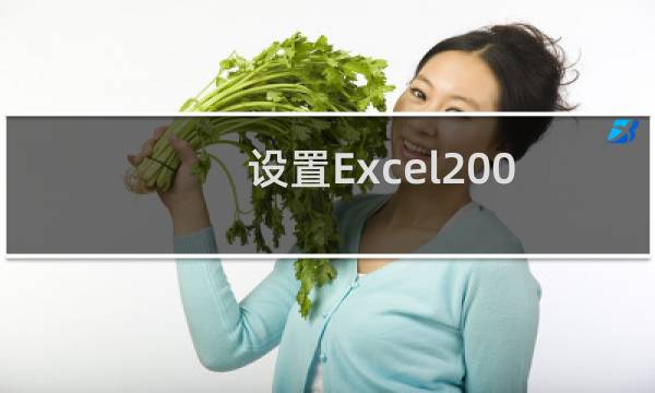 设置Excel2003和2007宏安全级别