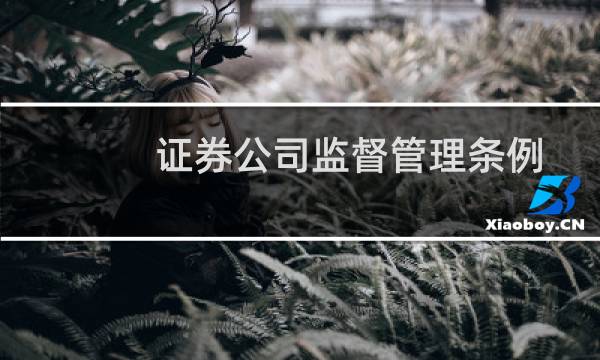 证券公司监督管理条例