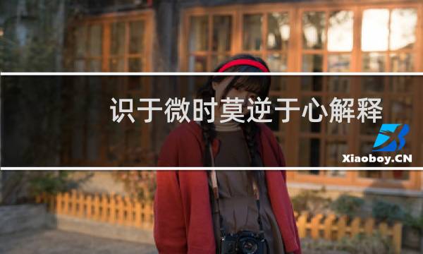 识于微时莫逆于心解释(识于微时莫逆于心意思)